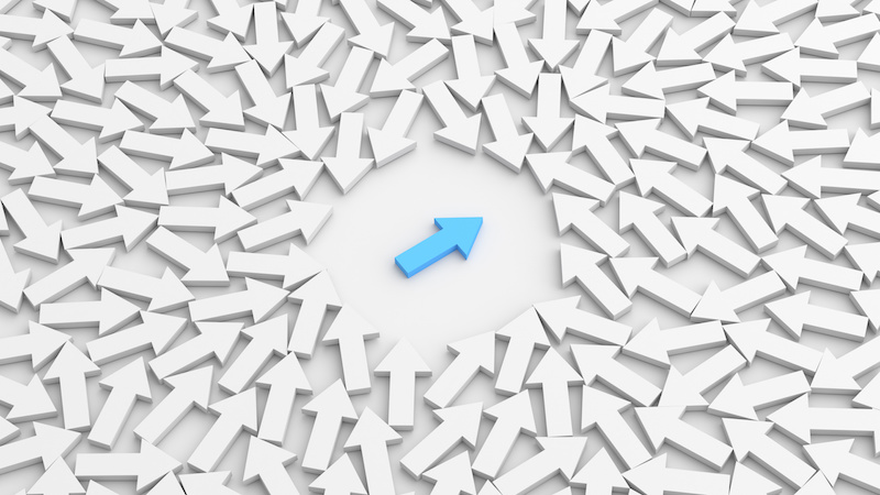 YEAR ONE: LEARN YOUR ROLE